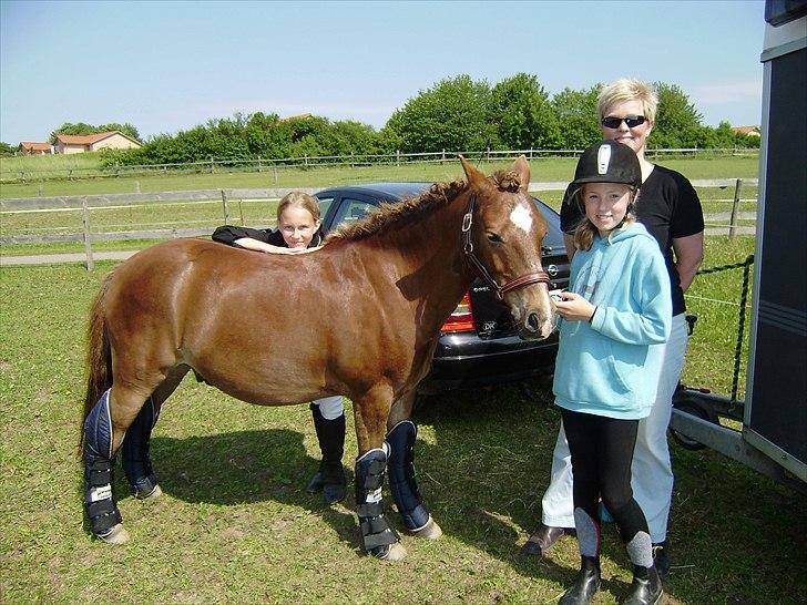 Anden særlig race Lucas - Lucas, mig, Frederikke og min dygtige ridelærer Winnie til stævne på Ponygården Solvang i Horsens billede 19