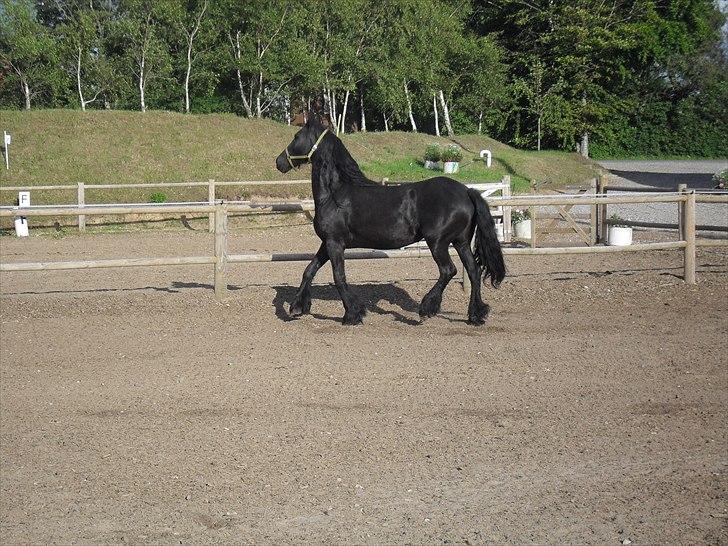 Frieser Sandra billede 9