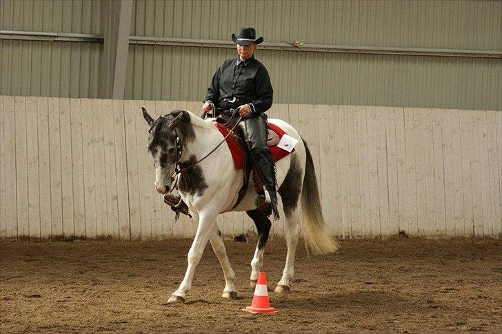 Anden særlig race Skullerup´s Jackpot billede 10