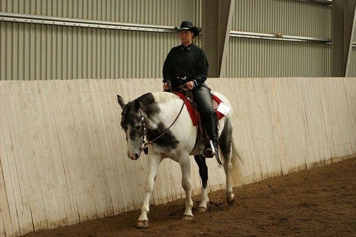Anden særlig race Skullerup´s Jackpot billede 9