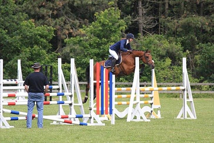 Anden særlig race Aktiv Junior (Lånehest) - LA til c-stævne, vi vandt klassen som eneste fejlfri ekvipage :) billede 11