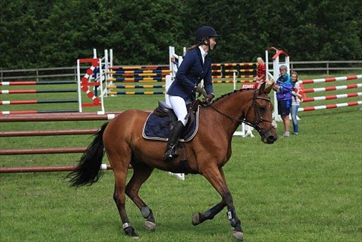 Anden særlig race Aktiv Junior (Lånehest) billede 12