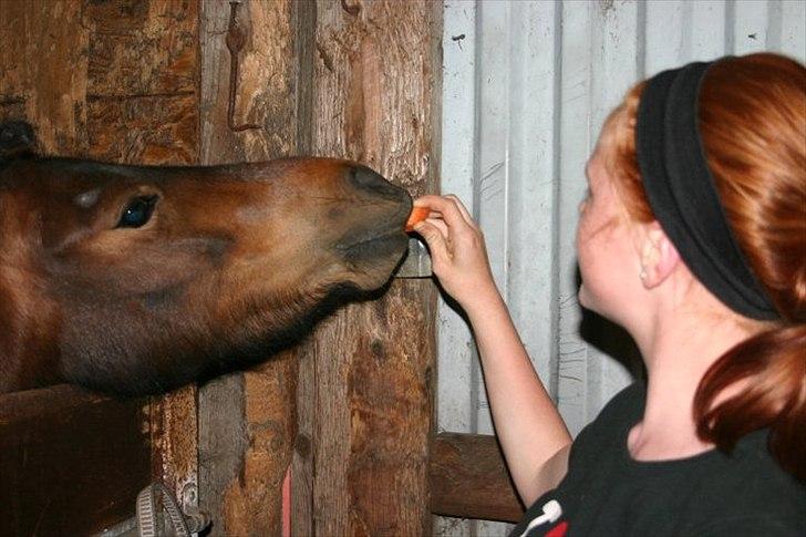 Anden særlig race Tøsen - Perfekte!<3 billede 4