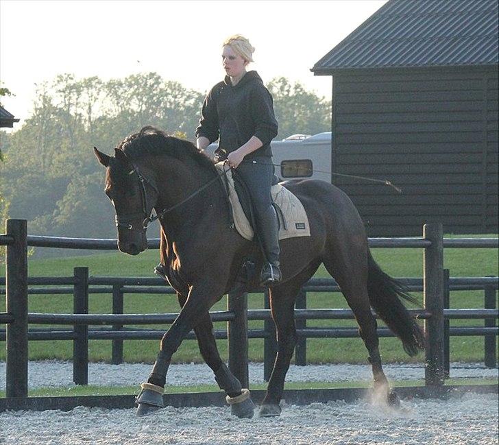 Anden særlig race Noah - Træning på Schou&Skouboe - Jeg elsker dig manse! <3  billede 12