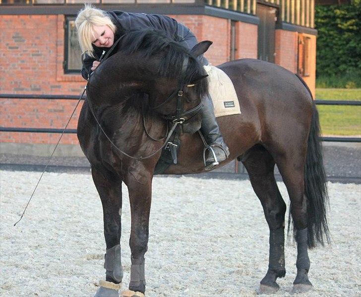 Anden særlig race Noah - A day without you is like a year without rain.. billede 13