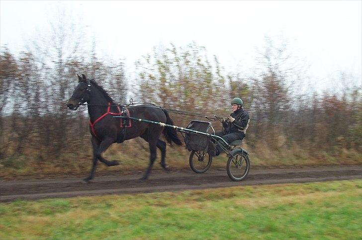 Traver Flax Vesterled billede 9