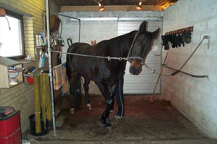 Traver Flax Vesterled billede 10