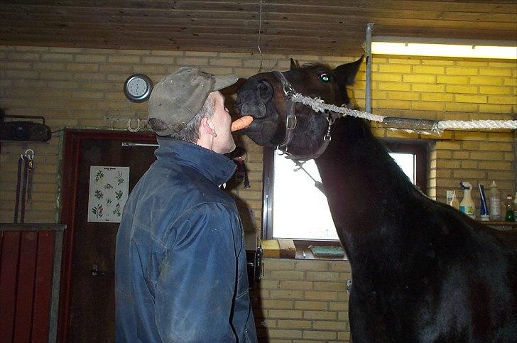 Traver Flax Vesterled billede 11