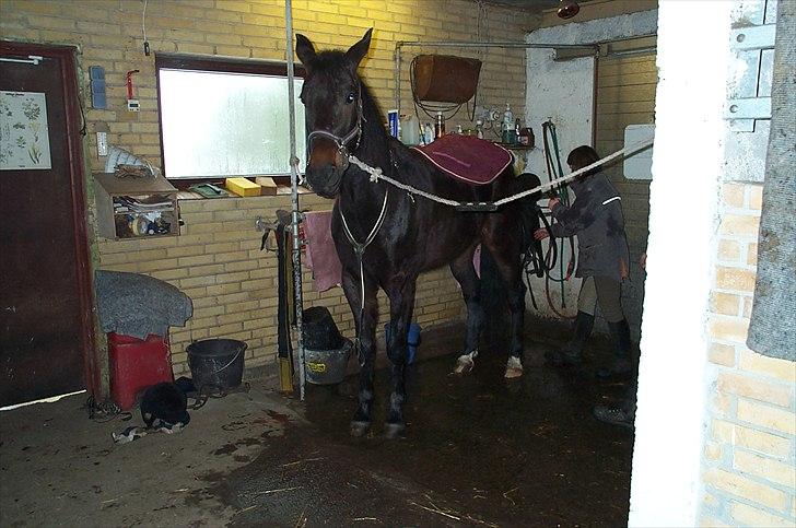 Traver Flax Vesterled billede 14