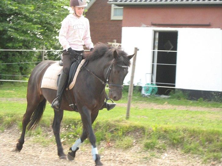 New Forest Lillie Lund's Flicka Bell - Flicka

Fotograf: Freja billede 3