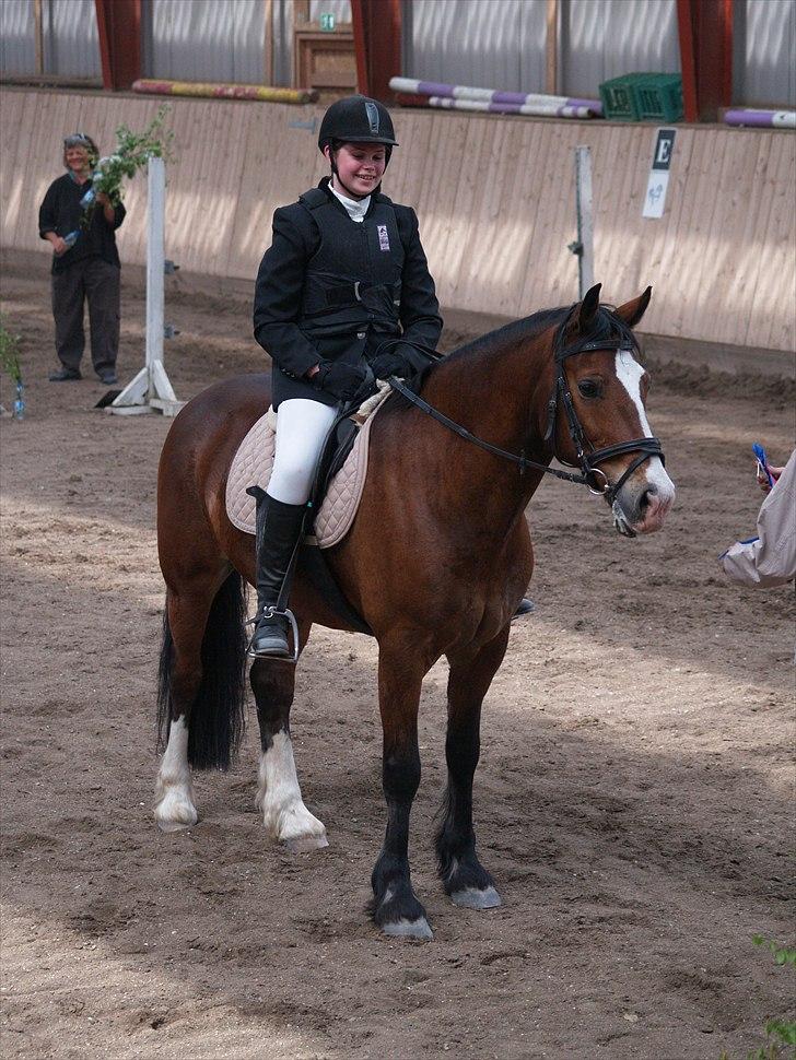Anden særlig race Pondus SOLGT billede 15