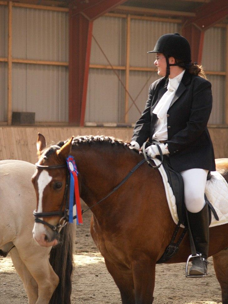 Anden særlig race Pondus SOLGT billede 17