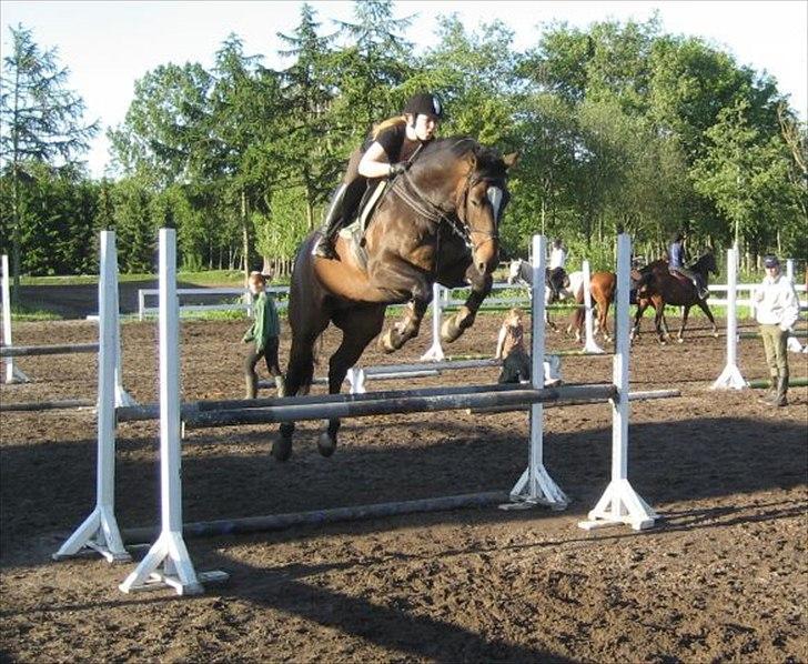 Dansk Varmblod Castor - Solgt - Anna(ejer) og Castor :-).  billede 13