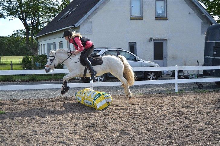 Anden særlig race Melissa ¤Min pige¤ - Du er mere end perfekt for mig ! <3 Mester fotograf: Mor billede 6