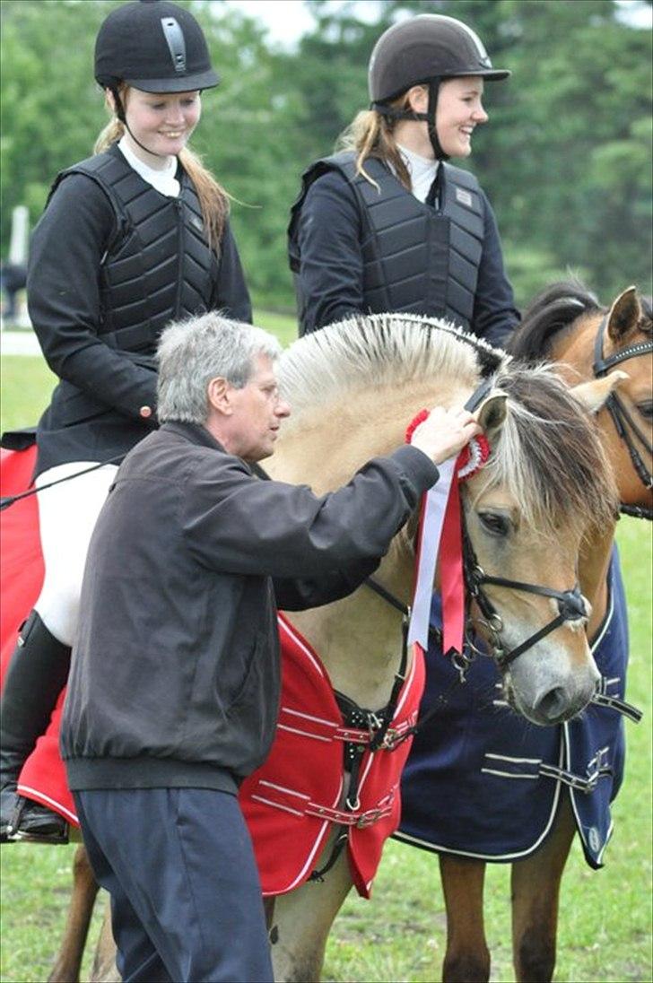 Fjordhest ZEUS *Udlånt* - at noget er perfekt betyder ikke at det er fejlfrit, men at du ikke ønsker det anderledes. ♥
Foto: Michelle billede 12