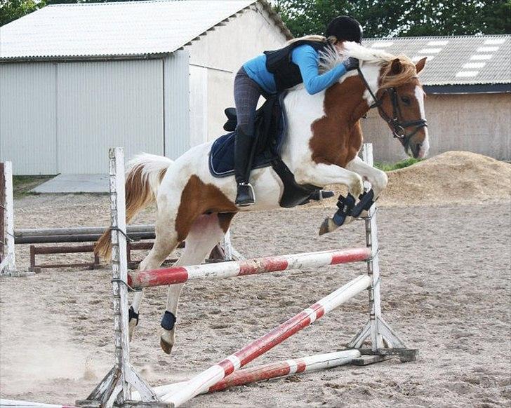 Pinto Amanda - "lad mig blot være et nul. men lad mig i det mindste være det nul der står bag de andre nulelr og giver dem værdi." Lisa Jørgensen i:
 billede 14