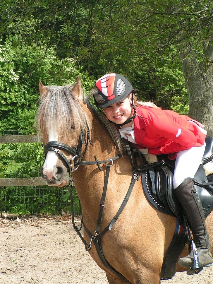 Welsh Pony (sec B) Faya Lobi Kasto-Glas 2002 *STJERNE PONY* - Vi et TEAM! TEAM RØD!<3 billede 8