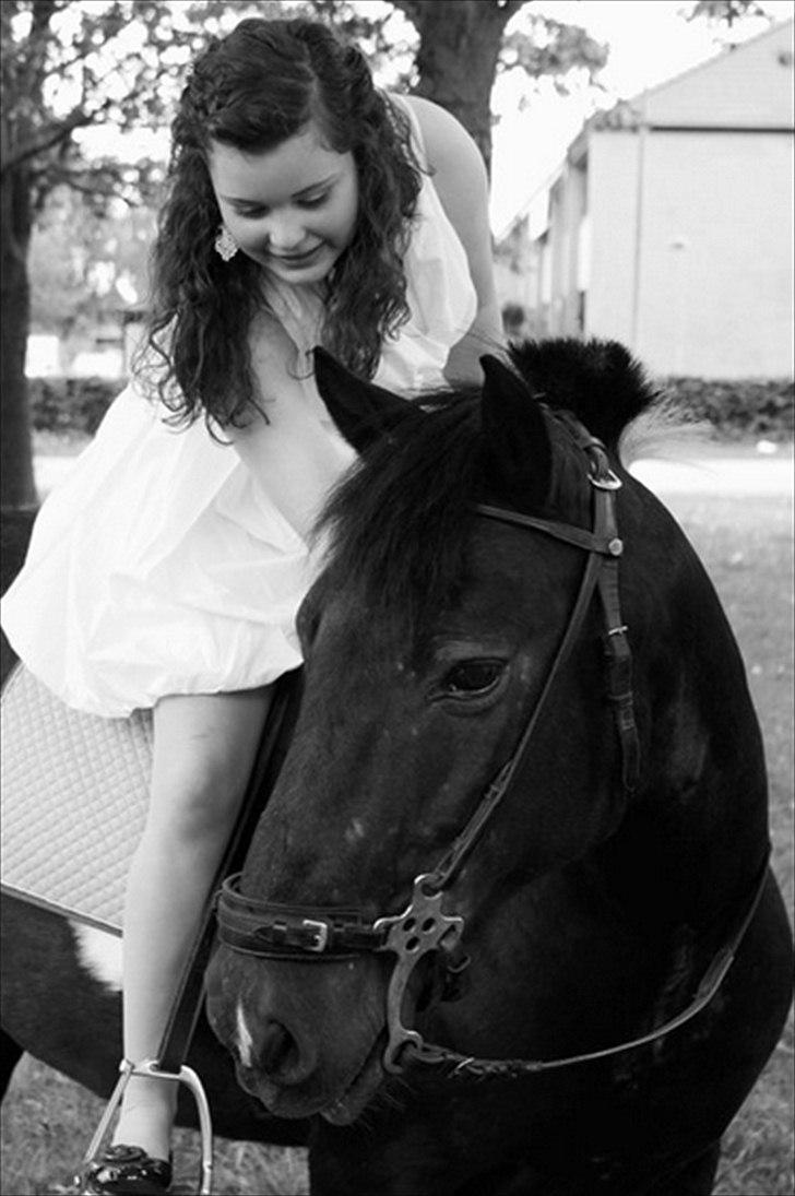 Anden særlig race Cavallo - Konfirmation 2011 :) (Foto: Jose) billede 13