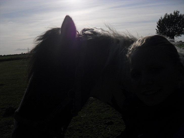 Tinker Harry **solgt :-'(** - Er du ikke snart færdig tænker Harry billede 9