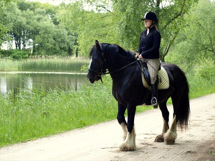 Tinker Logan  billede 2