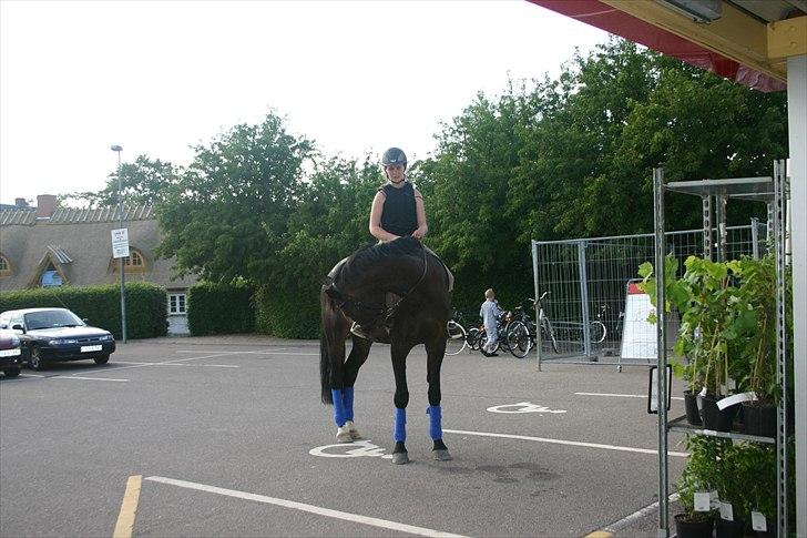 Oldenborg DRISDAL'S CAMARO - 15) vi var nede i brugens hvor min mor skulle købe is til mig og min lille søster, mig og camaro skulle selvfølglig lige finde en p-plads:D det blev så handicap pladsen for vi er handicapet nogle gange haha :D billede 14