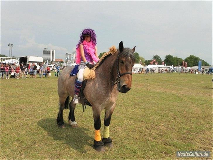 Belgier Mette Støvringgård  - Vors gode 80 udklædning til Det Fynske Dyrskue 2011. billede 17