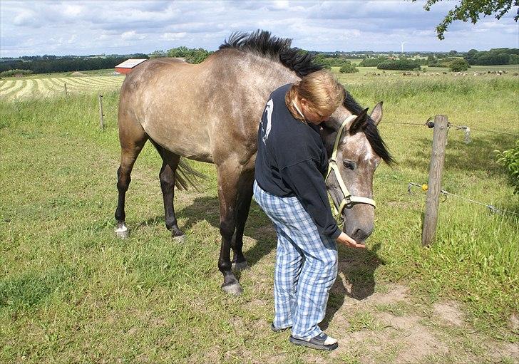 Holstener Ammeli billede 3