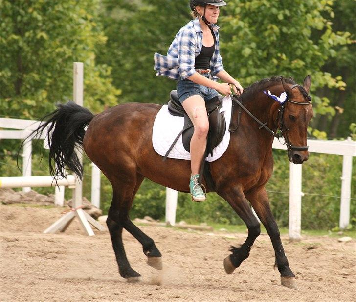 Anden særlig race Bonnie  - Er meget glad for dette billede.. Red æres runde i short fordi jeg ikke regnede med noget. Hun var fantastisk <3 billede 17