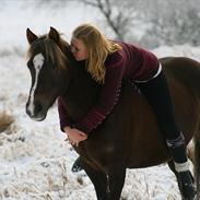 Welsh Pony af Cob-type (sec C) Danielle