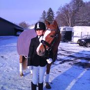 DSP Lindholms´Gutchi