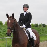 Dansk Varmblod Lhotka Boesgård