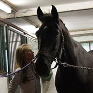 Anden særlig race ~ Olivia ~ 