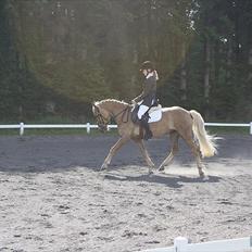 Anden særlig race  Smilla <3:i