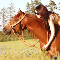 Anden særlig race Macody
