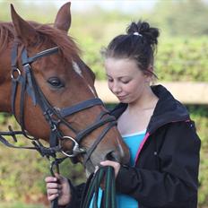 Dansk Varmblod Kamilla Bramdal