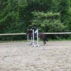 Anden særlig race Oskar