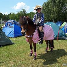 Anden særlig race Daisy