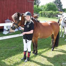 Anden særlig race Daisy