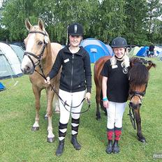 Anden særlig race Daisy