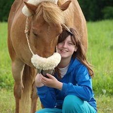 Gotlandsruss Arcus *Part*