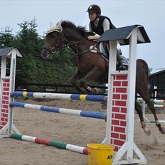 Tysk Sportspony Lindenbooms Patrizia(Amy)