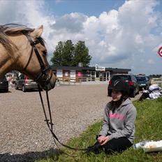 Anden særlig race Smilla
