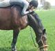 Oldenborg Gerner Kornum 
