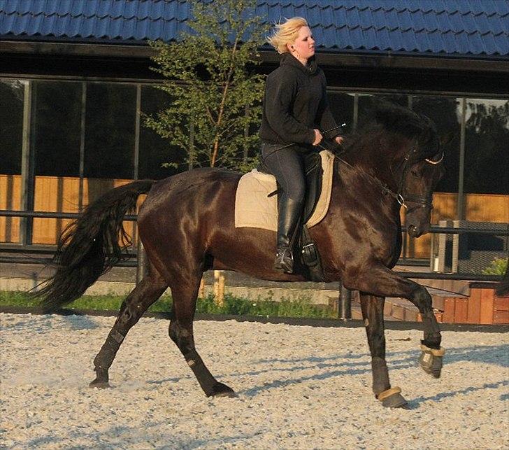 Anden særlig race Noah - Træning på Schou&Skouboe - Dejlige Noah<3  billede 17