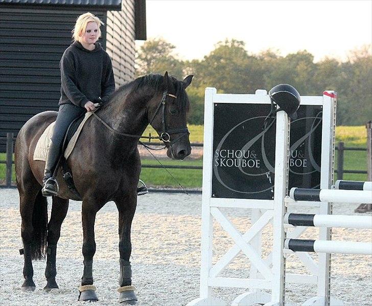 Anden særlig race Noah - Sometimes people are beautiful. Not in looks. Not in what they say. Just in what they are.. billede 18