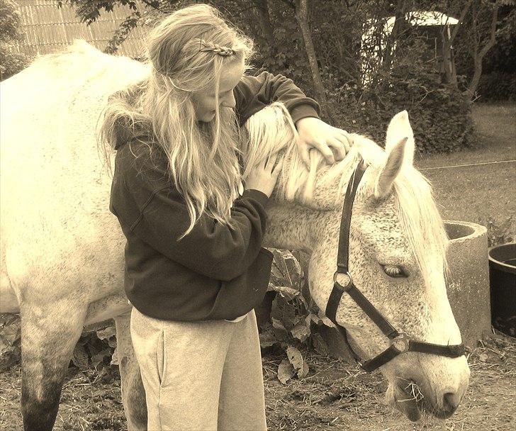 Anden særlig race Hyltgaards Aston <3  - 13# You and me together, nothing is better. billede 13