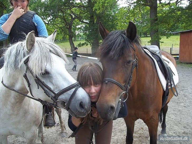 New Forest Moonlight    (rider) - De to smukkeste ponyer i verden!
Fantis med Signe(part) på ryggen<3
Foto: Laura billede 19