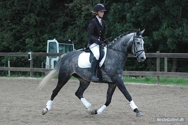 Oldenborg Cassandra *STJERNE* - ISR LC1 - Cas tænker: "Jeg kan flyyve!" ;D Hihi (: - Septemper 2010 *Foto: Helena* billede 11