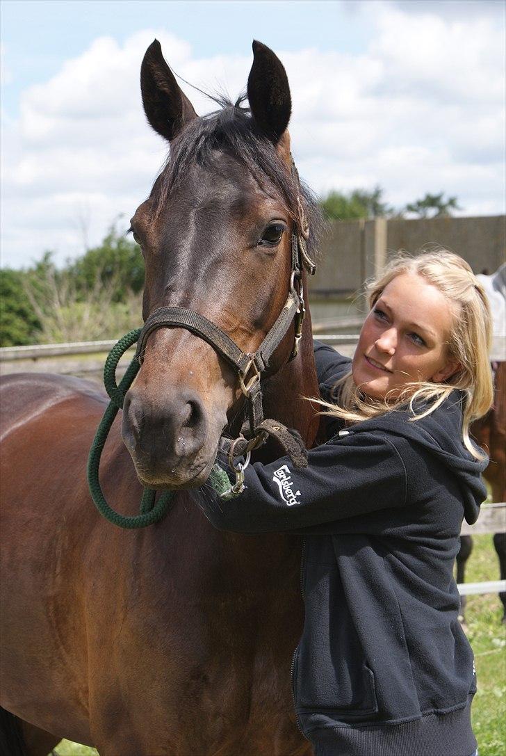 DSP Røgilds Dominique - Efter dressurtræning - 15/06-20111

Foto: Line Andersen billede 8
