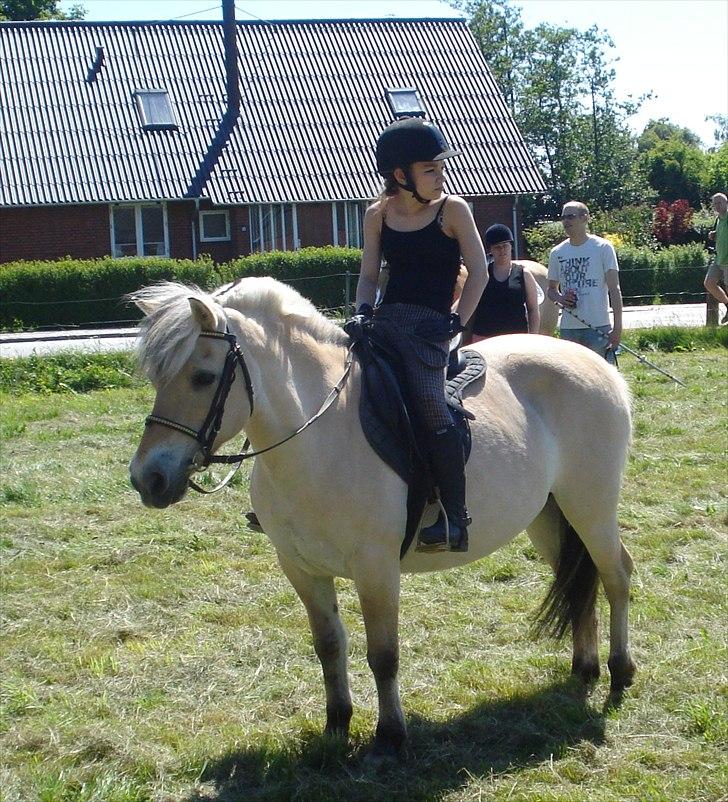 Fjordhest Line (-': - 16• Da vi er færdige med ringridning, Line er liiidt træt men holder stadig øje med den farlige spand der var vand i til dem. Så Line fik ikke noget at drikke fordi spanden var for farlig xD -Taget d. 4/6-2011 [Foto: Far] billede 16